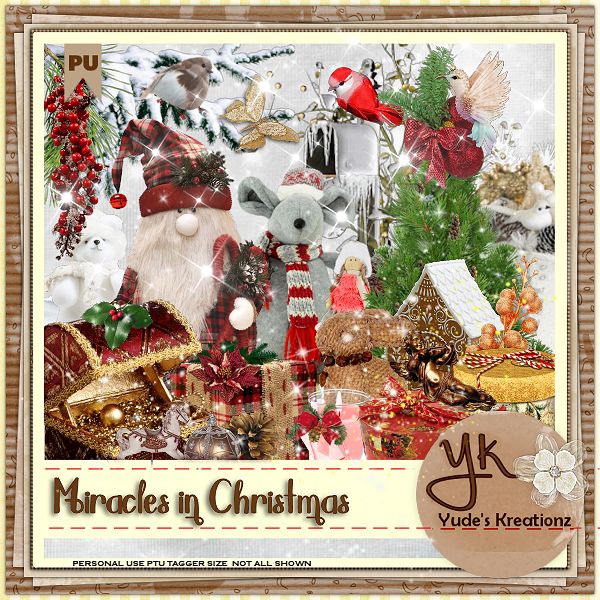 (image for) Miracle in Christmas